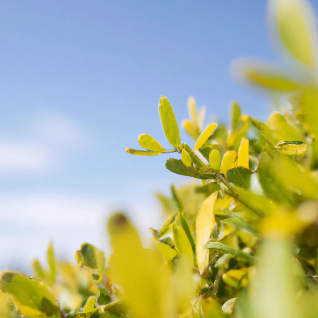 Sposoby na zwiększenie pewności siebie